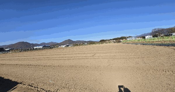부산광역시 강서구 대저1동571-50 전 경매 물건 이미지