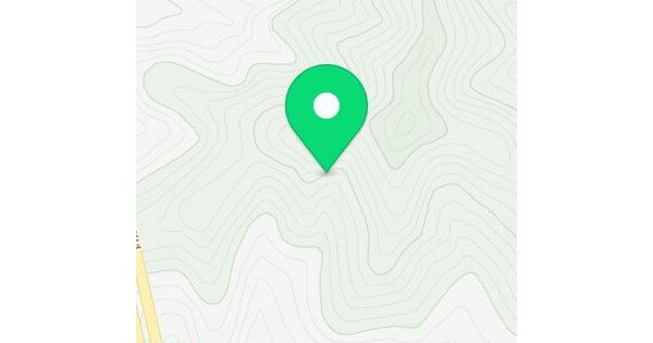 전라남도 화순군 화순읍 세량리 산12  미지정 경매 물건 이미지