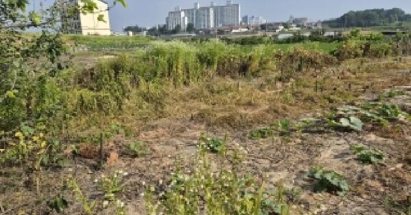 전북특별자치도 완주군 이서면 상개리 388-2  미지정 경매 물건 이미지