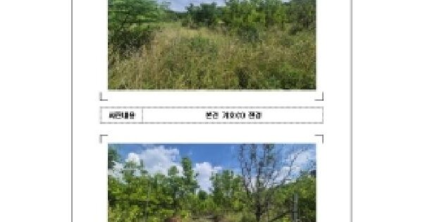 전라남도 함평군 학교면 곡창리 1-51  미지정 경매 물건 이미지