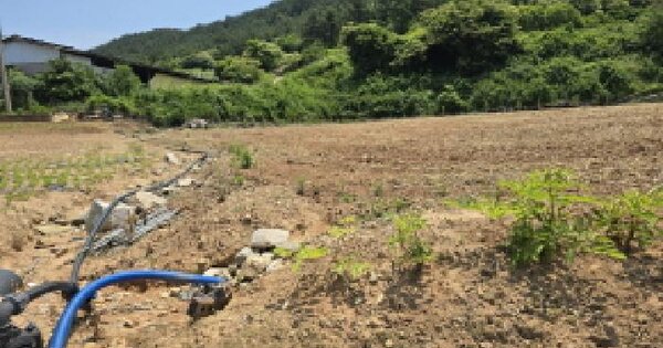 전라남도 장흥군 관산읍 지정리 127-1  미지정 경매 물건 이미지