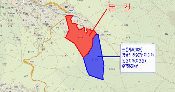 경상남도 하동군 화개면 정금리 산206  미지정 경매 물건 이미지