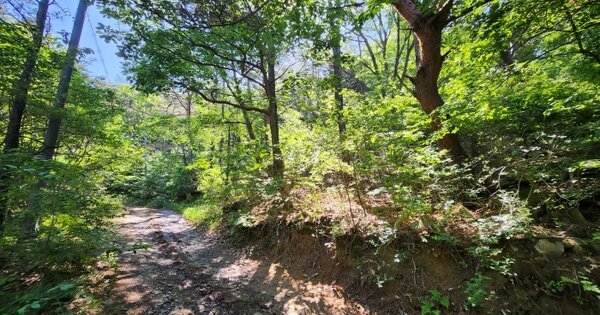 경상남도 양산시 동면 내송리 산120-1 임야 경매 물건 이미지
