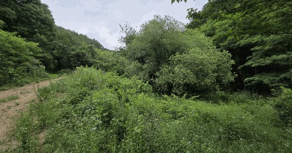 충청북도 단양군 단양읍 수촌리 154  미지정 경매 물건 이미지