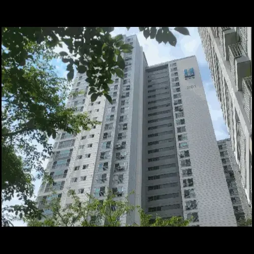 물건 사진