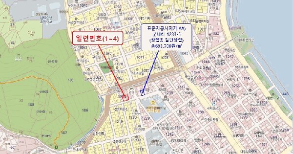 전라남도 완도군 완도읍 군내리 1232-10  미지정 경매 물건 이미지