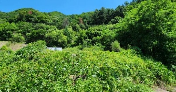 경기도 남양주시 진접읍 금곡리 59-15  미지정 경매 물건 이미지