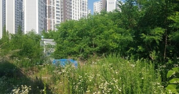 충청남도 천안시 동남구 풍세면 보성리 789  미지정 경매 물건 이미지