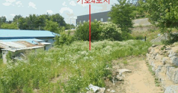 충청북도 제천시 두학동 946-1  미지정 경매 물건 이미지