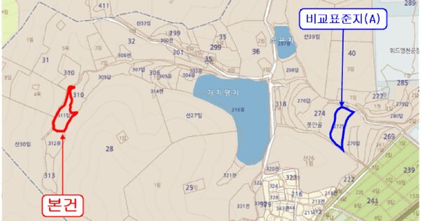 경상북도 영천시 북안면 신대리 311  미지정 경매 물건 이미지