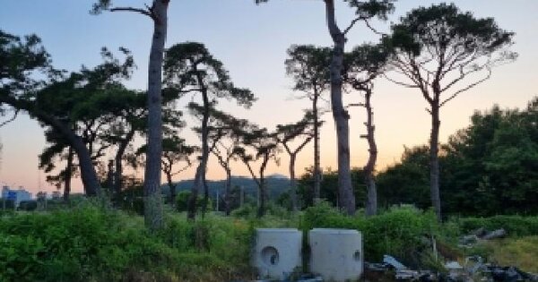전북특별자치도 남원시 월락동 377  미지정 경매 물건 이미지