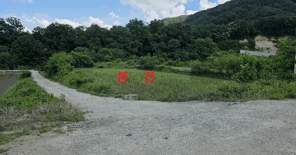 경상북도 고령군 대가야읍 신리 208  미지정 경매 물건 이미지