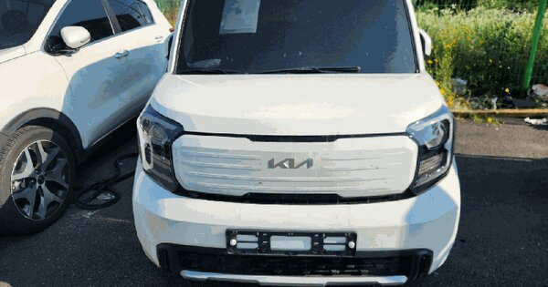 레이 등록번호 : 226러5251 미지정 경매 물건 이미지