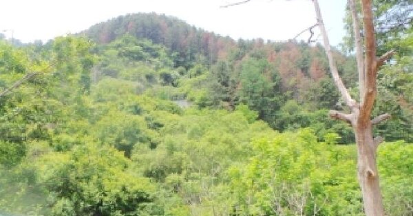 강원특별자치도 춘천시 남면 발산리 655  미지정 경매 물건 이미지