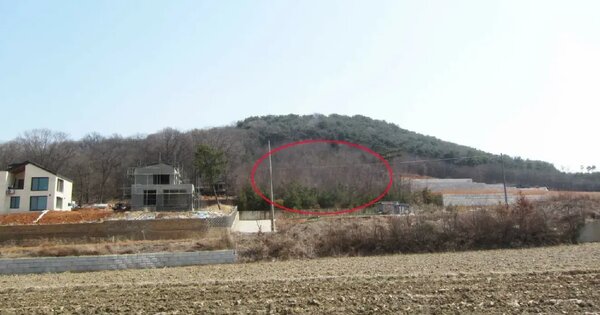 경기도 화성시 만세구 서신면 백미리 302-5 임야 경매 물건 이미지