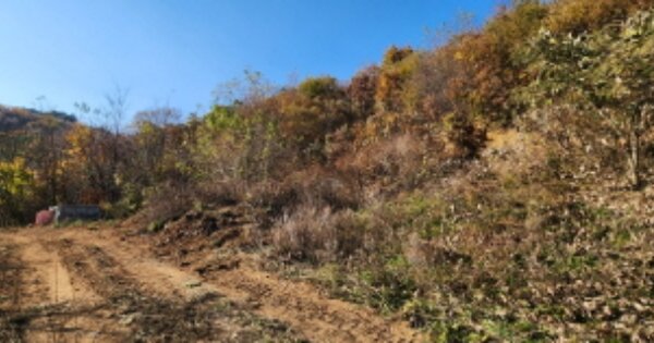 경기도 양주시 장흥면 일영리 산27-54 임야 경매 물건 이미지