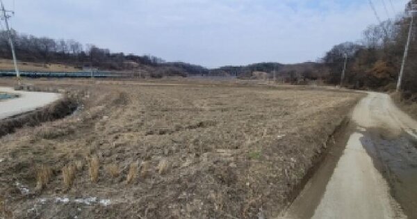 충청북도 괴산군 사리면 사담리 726-2 답 경매 물건 이미지