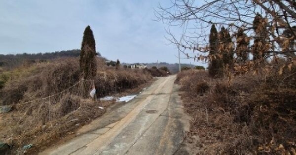 세종특별자치시 장군면 송문리 40-8 임야 경매 물건 이미지