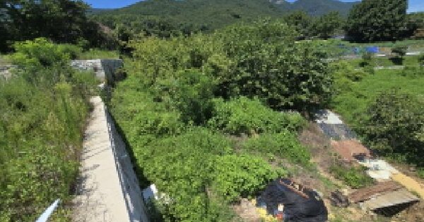 경상남도 양산시 주진동 447 전 경매 물건 이미지