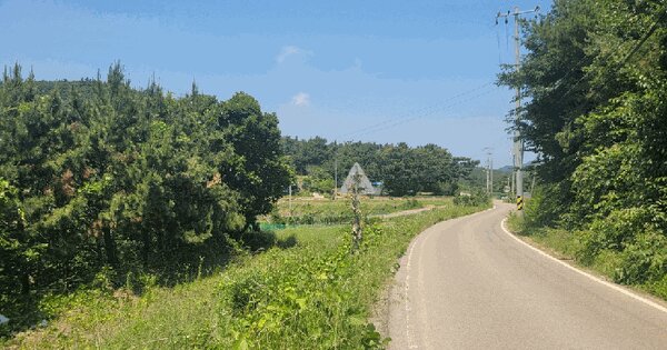 충청남도 서산시 대산읍 대로리 881-184  미지정 경매 물건 이미지