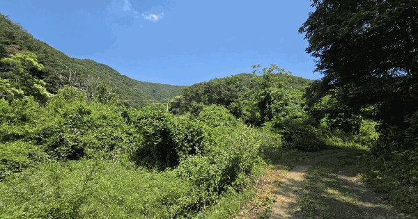 충청남도 청양군 대치면 광대리 12-1  미지정 경매 물건 이미지