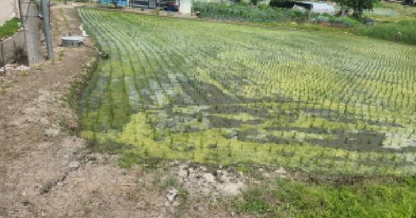 인천광역시 강화군 내가면 구하리 446-1  미지정 경매 물건 이미지