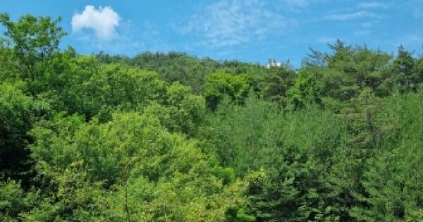 충청남도 금산군 남일면 신동리 534  미지정 경매 물건 이미지