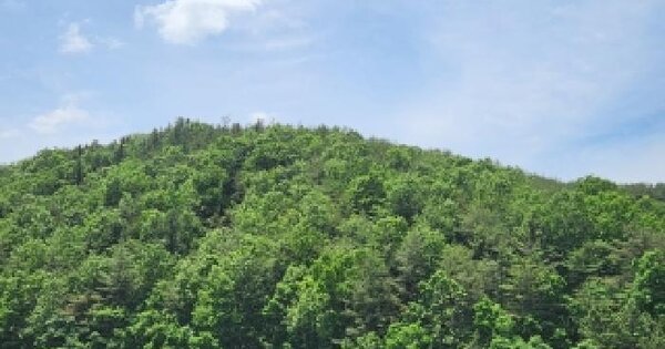 경상북도 영천시 고경면 부리 산14  미지정 경매 물건 이미지