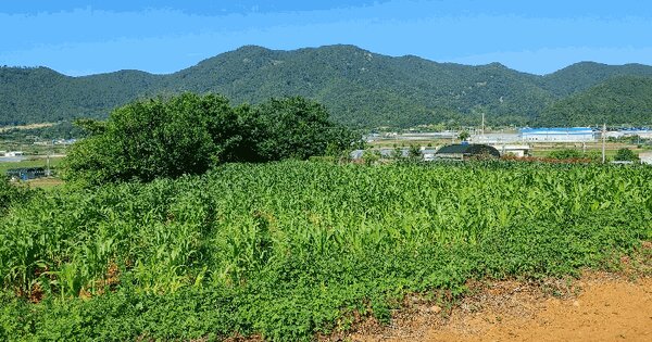 경상남도 고성군 거류면 감서리 526-3  미지정 경매 물건 이미지