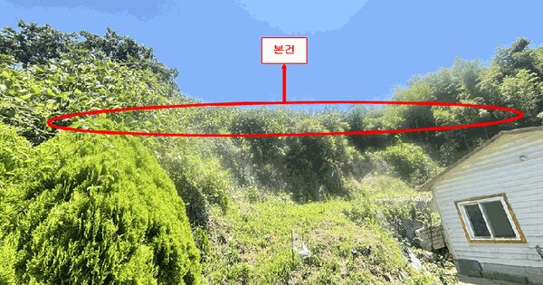 부산광역시 강서구 눌차동 477  미지정 경매 물건 이미지