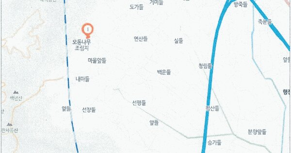 전라남도 장성군 남면 덕성리 934  미지정 경매 물건 이미지