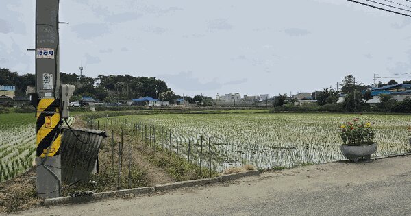 충청남도 논산시 광석면 신당리 20-3  미지정 경매 물건 이미지