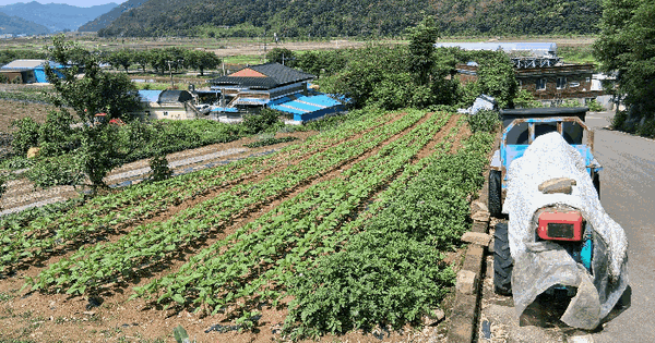 경상남도 창녕군 부곡면 청암리 산16 임야 경매 물건 이미지