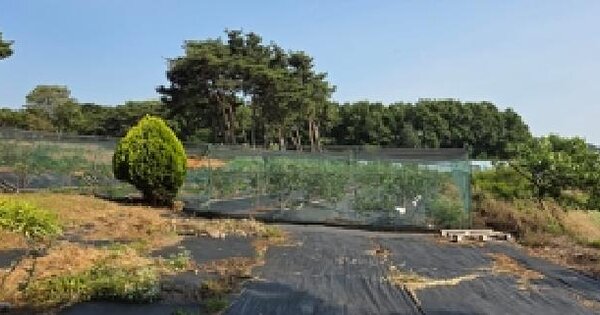 충청남도 예산군 신암면 용궁리 558  미지정 경매 물건 이미지