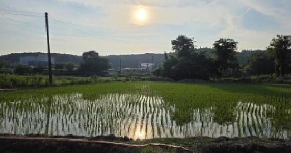 경기도 화성시 만세구 팔탄면 가재리 178-1  미지정 경매 물건 이미지