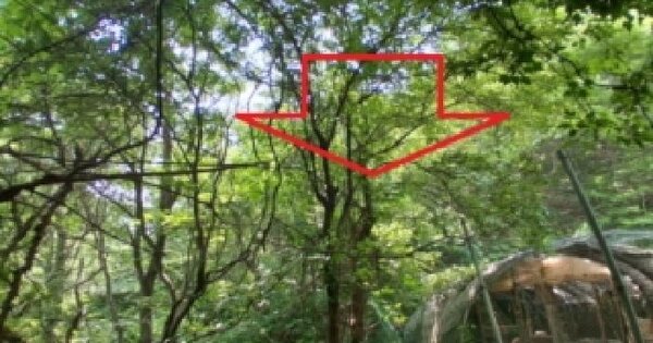 강원특별자치도 춘천시 서면 오월리 244-2  미지정 경매 물건 이미지