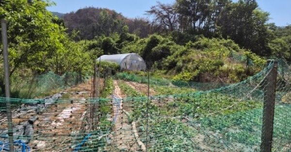 경상북도 영덕군 지품면 지품리 470-2  미지정 경매 물건 이미지