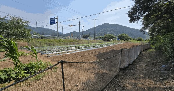 경상남도 거제시 사등면 오량리 1053  미지정 경매 물건 이미지