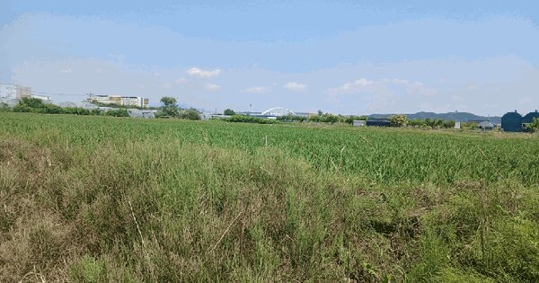 경기도 김포시 고촌읍 신곡리 720-4  미지정 경매 물건 이미지