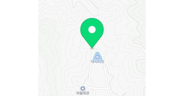 경상북도 고령군 다산면 나정리 산78  미지정 경매 물건 이미지