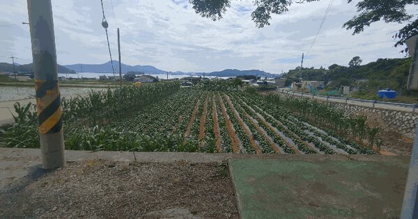 경상남도 거제시 둔덕면 술역리 666-7  미지정 경매 물건 이미지