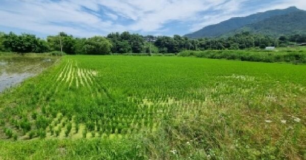 전북특별자치도 남원시 수지면 유암리 865-13  미지정 경매 물건 이미지