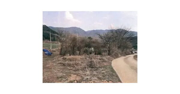 강원특별자치도 평창군 평창읍 대하리 132 전 경매 물건 이미지