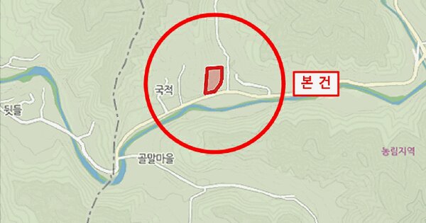 강원특별자치도 횡성군 둔내면 삽교리 산203  미지정 경매 물건 이미지