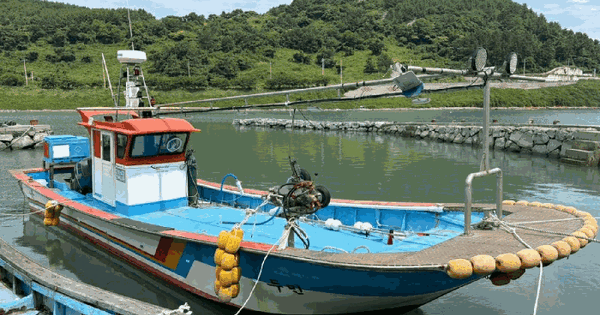 전라남도 보성군 회천면  선박 경매 물건 이미지