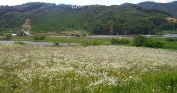 충청북도 음성군 원남면 덕정리 310  미지정 경매 물건 이미지