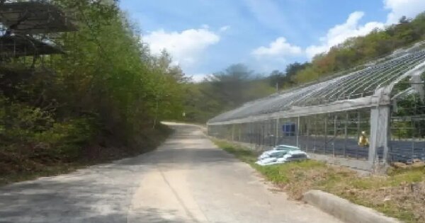 강원특별자치도 평창군 진부면 하진부리 450 전 경매 물건 이미지