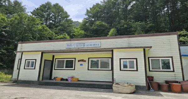 강원특별자치도 평창군 진부면 하진부리 452  교육연구시설 경매 물건 이미지