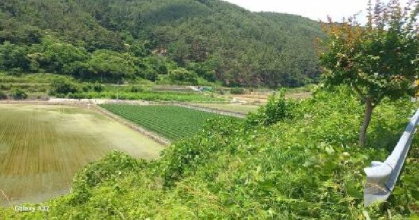 경상남도 고성군 상리면 고봉리 458-4  미지정 경매 물건 이미지