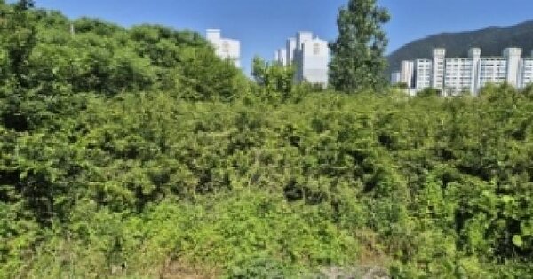 경상남도 고성군 거류면 당동리 258-1  미지정 경매 물건 이미지